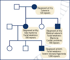 Non Mendelian Inheritance Lesson 1 Triplet Repeat Disorders