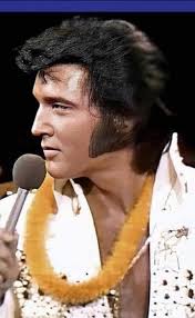 Nancy Homa (nancyhoma)