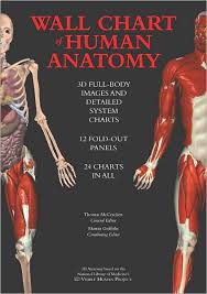 wall chart of human anatomy 3d full body images and detailed system charts hardcover