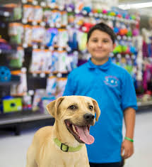 We help find homes for thousands of dogs, cats, rabbits and other pets every week. Pet Adoption Events Near You Adopt A Dog Cat Or Rabbit