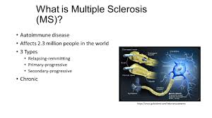 Here are the main types of ms. What Is Multiple Sclerosis Ms Autoimmune Disease Affects 2 3 Million People In The World 3 Types Relapsing Remmitting Primary Progressive Secondary Progressive Ppt Download