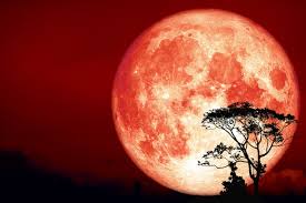 Octobers Hunters Moon On Full Display This Weekend