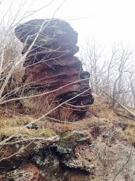 Pin On Jersey Missing Home