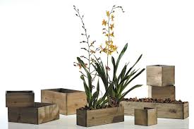 Accent Decor Woodland Planter 7 X 7 X 3 5 Planter Boxes Wooden Planter Boxes Planters