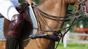 The Ultimate Guide to Selecting the Perfect Saddle for Endurance Riding