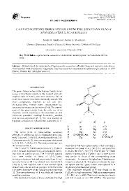 Image result for Sphaerocoryne gracilis