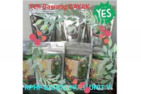 Gambar bawang dayak untuk pengobatan herbal. Teh Bawang Dayak Dipasarkan Per Kemasan Rp50 000 Antara News Kalimantan Tengah Berita Terkini Kalimantan Tengah
