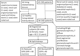 A person with stage 3 chronic kidney disease (ckd) has moderate kidney damage. Combination Of Renal Apparent Diffusion Coefficient And Renal Parenchymal Volume For Better Assessment Of Split Renal Function In Chronic Kidney Disease European Journal Of Radiology