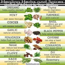 Herbs And Their Uses Healing Herbs Herbs Remedies For Nausea