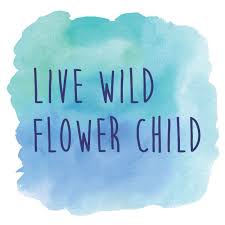 Wisteria flowers & gifts rochester sihtnumber 14607. Live Wild Flower Child Amazing Flowers Flower Child Wild Flowers