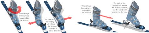 All You Ever Wanted To Know About Acl Injuries And Ski