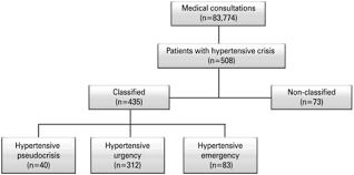 Hypertensive emergencies include both accelerated hypertension and malignant hypertension. Hypertensive Crisis Clinical Characteristics Of Patients With Hypertensive Urgency Emergency And Pseudocrisis At A Public Emergency Department Abstract Europe Pmc