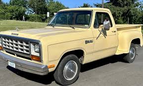 Image result for Mink Brown 1985 Dodge Truck