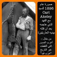 صورة عام 1896 للسيد carl akeley مع الفهد الذي هاجمه بعد أن قتله بيديه العاريتين historical figures historical figures