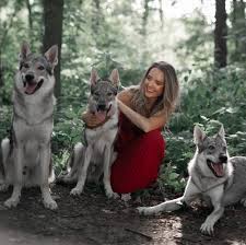Jun 04, 2021 · při cestě do školy, kam doprovázela své ratolesti, se lucie vondráčková (41) svěřila, jak ráda by se do lavic sama vrátila. Lucie Vondrackova Pripravovany Charitativni Kalendar 2021 Psi Sance Pro Zachrannou Stanici Ceskoslovenskych Vlcaku V Adamove Hezky Vecer Facebook
