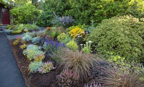Pin On Garden Landscape