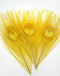 Golden Yellow Peacock Feather Eyes 2 Size Optionrf Feather Etsy Yellow Feathers Feather Yellow Aesthetic