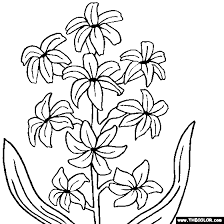 Have fun with the best peppa pig. 4 543 Free Online Coloring Pages Thecolor Com