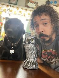 Do you count expansions as separate plays when tracking game plays?