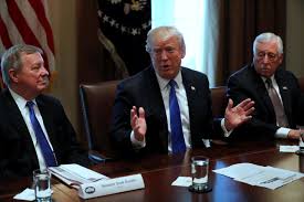 Yeah, i'll beat oprah, he told. Donald Trump Likes Oprah Doubts She Ll Run For President Arab News