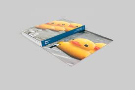 Pengakuan pengawasan kesehatan dari negara anggota. Send Me An Image From Postcards To Social Media Steidl Verlag