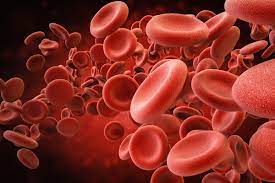 We did not find results for: Relevance Of Red Blood Cells And Why Do We Care About Them