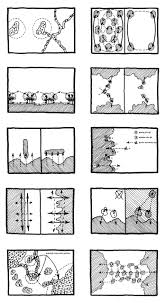 Landscape approaches are primarily rooted in conservation and the science of landscape ecology 9, 10. Ecology And Design Parallel Genealogies