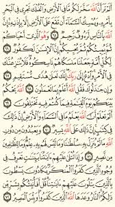 سورة الحج الجزء السابع عشر الصفحة 340 Quran Verses Verses Quran
