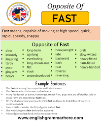 Opposite Of Fast Antonyms Of Fast Meaning And Example Sentences Antonym Opposite Words Contradict Opposite Words English Vocabulary Words Opposite Words List