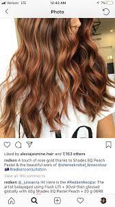 Pin By Alexia Jasmine On Colorful Hair Redken Hair Color Hair Color Formulas Rose Gold Hair Color Formula