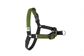 Linden No Pull Dog Harness Olive Wildebeest Dog Harness Wildebeest Dog Leg