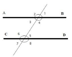 A Detailed Proof Of The Alternate Interior Angles Theorem Geometry Help Check out these examples of alternate exterior angles in real life.