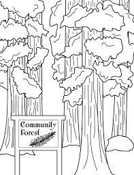 What comes to your mind when you think of santa cruz, california? Coloring Page Redwood Tree Coloring Page