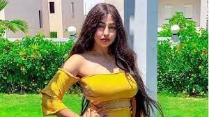 كانت الإدارة العامة لمباحث الآداب، قد ضبطت المتهمة منة الله عماد وشهرتها ريناد عماد، داخل كافيه بالدقي مملوك لنجل فنان شعبي شهير، وذلك وقامت مباحث الآداب أيضا بالقبض على فتاة أخرى تدعى منار سامي لديها فيديوهات على موقع التيك توك، أثناء تواجدها بمدينة بنها. Ø´Ø§Ù‡Ø¯ Ø§Ù„ÙÙŠØ¯ÙŠÙˆÙ‡Ø§Øª Ø§Ù„Ù…ØªØ³Ø¨Ø¨Ø© ÙÙŠ Ø§Ù„Ù‚Ø¨Ø¶ Ø¹Ù„Ù‰ Ù…Ù†Ø§Ø± Ø³Ø§Ù…ÙŠ ÙˆØ±ÙŠÙ†Ø§Ø¯ Ø¹Ù…Ø§Ø¯ Ø¬Ø±ÙŠØ¯Ø© Ø§Ù„Ø¯Ù„ÙŠÙ„ Ù†ÙŠÙˆØ² Ø¹Ù„Ø´Ø§Ù† Ø§Ù„Ø¨Ù„Ø¯ ÙˆØ§Ù„Ù†Ø§Ø³