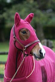 Epingle Par Laurence Dumas Sur Chocolat Tout Rose Animaux La Vie En Rose
