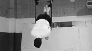 Online Training For Muscle Ups And Gymnastic Ring Exercises Shoulder Stand Gymnastic Rings Gymnastics