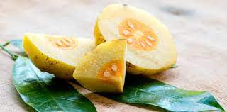 La pulpa del fruto y su corteza son las partes utilizadas . Garcinia Cambogia O Gummi Gutta Es Eficaz Para Adelgazar