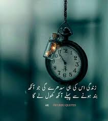 The Only Limits In Life Are The Ones You Make Meaning In Urdu Pin By Haalim Haalim On Urdu Poetry Love Quotes Motivational Quotes Motivational Thoughts In Hindi