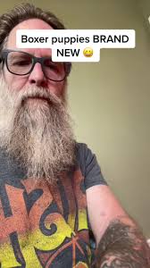 Ya Nacieron Cachorro De Perro Boxer