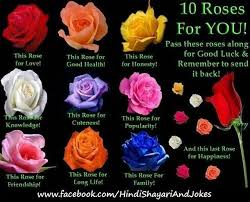 Meaning Of A Rose Rose Rose Color Meanings Rose Meaning