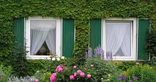 12 Robuste Stauden Fur Den Garten Stauden Garten Bepflanzen Staudengarten
