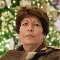 Carmen Chavolla's Instagram, Twitter & Facebook