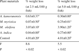 Image result for Afrostyrax kamerunensis