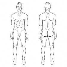 Free download 42 best quality medical human body outline drawing at getdrawings. Pin On Fitness At Home