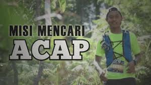 Berita terkini ( misteri kehilangan acap) 29/5/2020. Live Misi Mencari Acap Yang Hilang Sejak 23 Mac Lalu Youtube