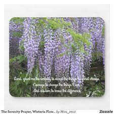 The Serenity Prayer Wisteria Flowers Mouse Pad Zazzle Com Serenity Prayer Serenity Wisteria