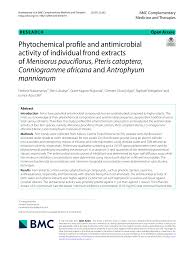 Image result for Menisorus pauciflorus