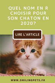 noms de chat en r en 2020 noms de chat prenom chat femelle chat femelle