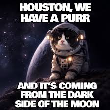 Houston, we have a purr and he demands snacks immediately 😸🌘 #moon  #catmemes #memes #dailymemes #tuxedocat
