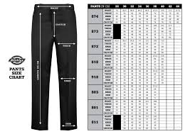 Size Guide Dickies Indonesia